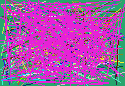 reverse email look up